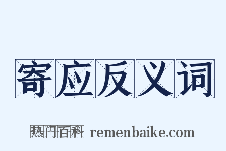 寄应反义词是什么意思的图片